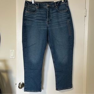 American Eagle Tomgirl Jean